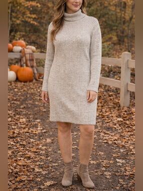 GAP Ribbed Turtleneck Sweater Dress Large Oatmeal Cozy Fall Minimalist Chic
